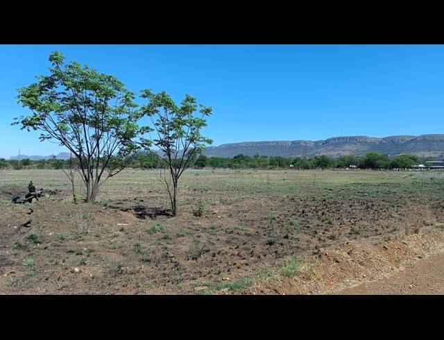 79.10HA FARM FOR SALE IN ANA AH